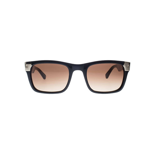 Shiny Black with Gold Tone Metal Wayfarers